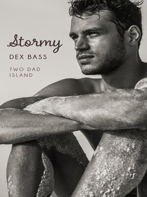 cover image of Stormy